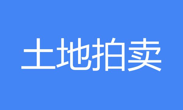 关于印发北京市出让国有土地使用权招标拍卖挂牌办法的通知